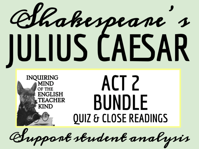 Julius caesar act 2 quiz